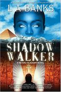 Shadow Walker cover art.jpg